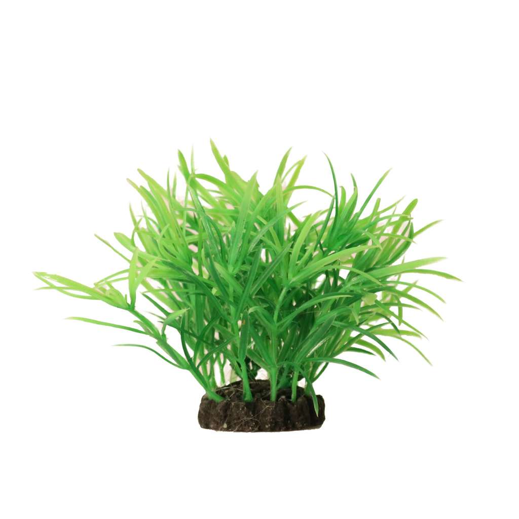 Plastplanter