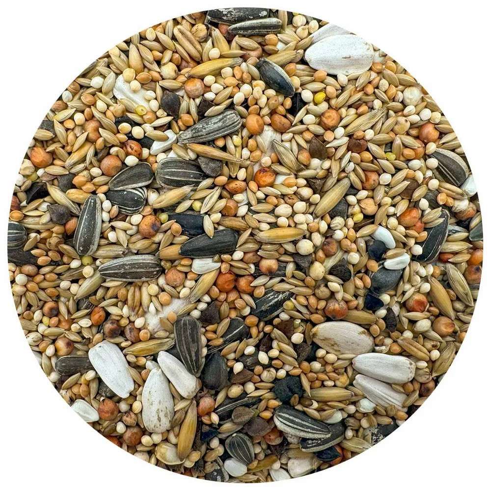 Bello parakitt blanding 5kg