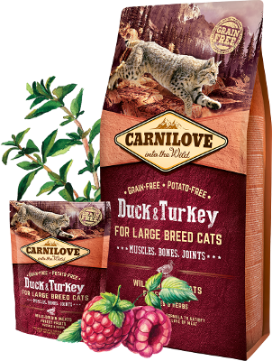 Carnilove Adult Large Cat Duck & Turkey