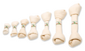 Farm Food Dental Bone M ca.27cm