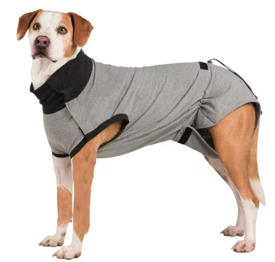 Beskyttelse Drakt til Hund XS/S 30cm Grå