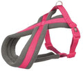 Hundesele Foret Fuchsia XS/S 30-40cm