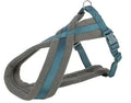 Hundesele Foret Petrol S/M 40-70cm