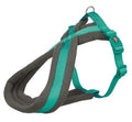 Hundesele Foret Ocean