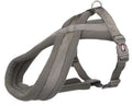 Hundesele Foret Grafitt Grå XS/S 30-40cm