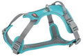 Hundesele Premium Active S-M 39-56cm/15mm Aqua
