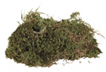 Trixie Mose Til Terrarium 200g
