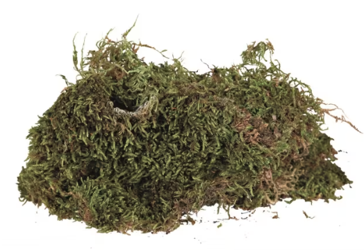 Trixie Mose Til Terrarium 200g