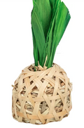Gnagerleke Ananas, Bambus M/Maisblader og Høy 6,5x14cm