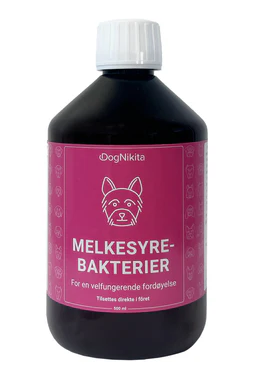 Melkesyre bakterier Hund 500 ml