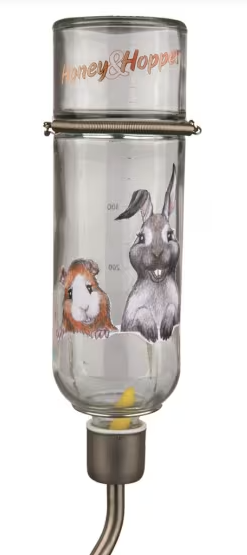 Drikkeflaske Glass Honey & Hopper 500ml