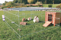 Kaninbur Utebruk M/Topp 216x116x65cm
