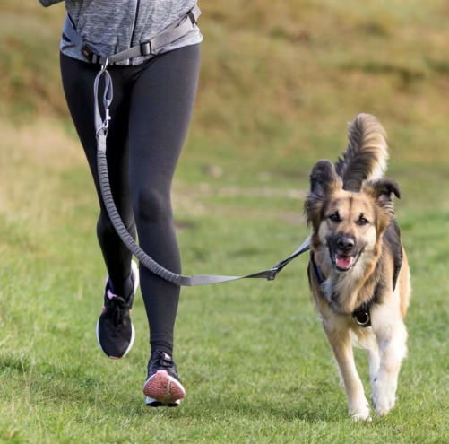 Joggeline 12767 Belte: 70-130cm/9cm Line: 1,20-1,50m/25mm Grå