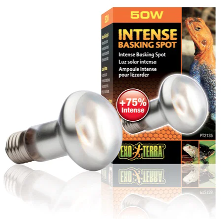 Exo terra Intense basking spot 50w