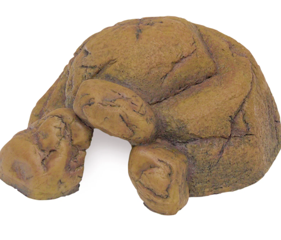Grotte S Exoterra 17x9.3x4cm