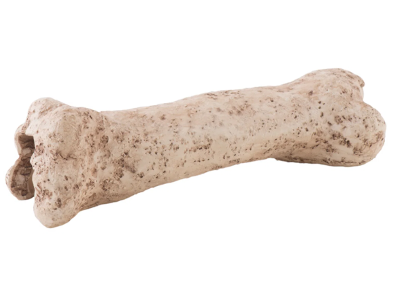 ExoTerra Dinosaur knogle 19x5x6 cm. Small