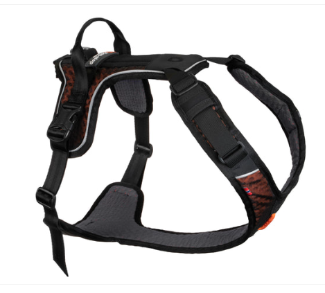 Rock harness