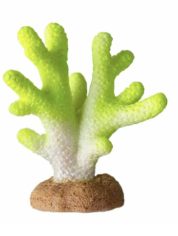 Ozami Korall Lime 4,5x2,5x5,1cm