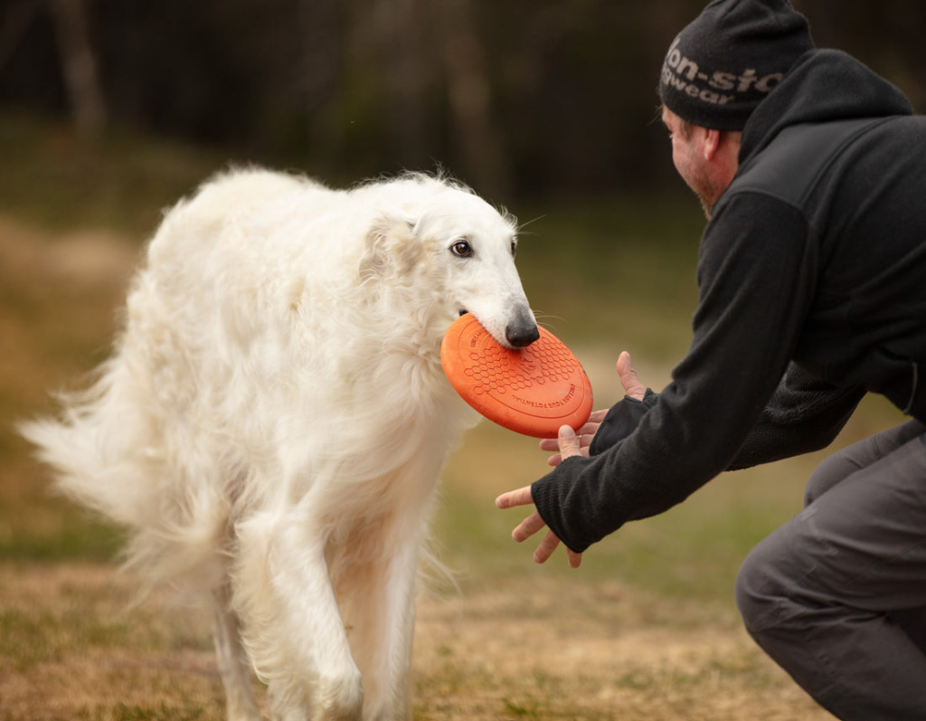 Dog flying disc