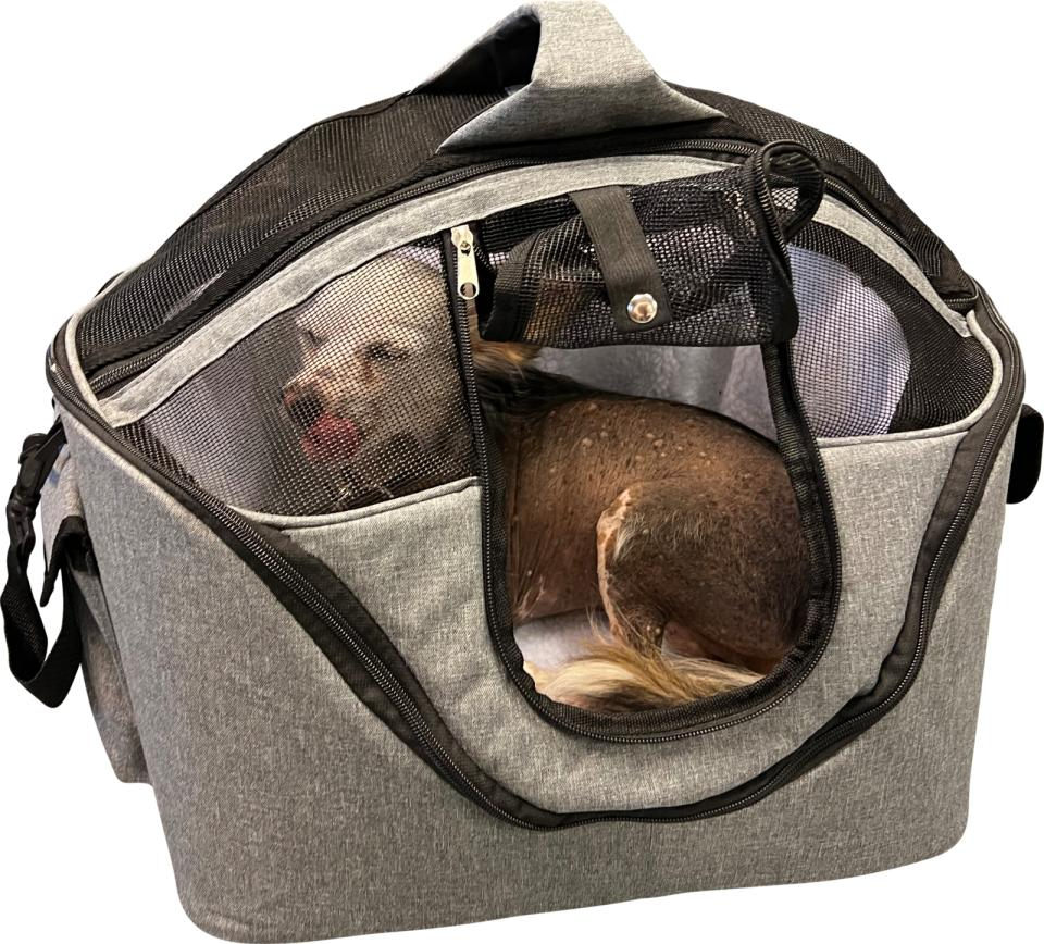 Companion pet transport carrier 54x45x41 cm