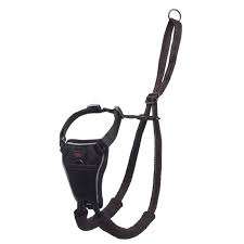 Halti No Pull Harness Medium