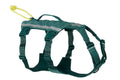Ramble Harness Long L Teal