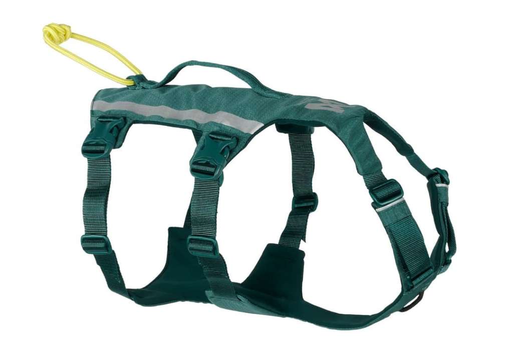 Ramble Harness Long L Teal