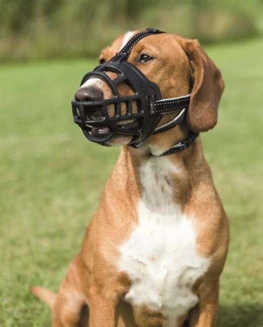 Munnkurv Flex  Gummi L Sort