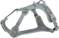 Hundesele Premium Active Sage