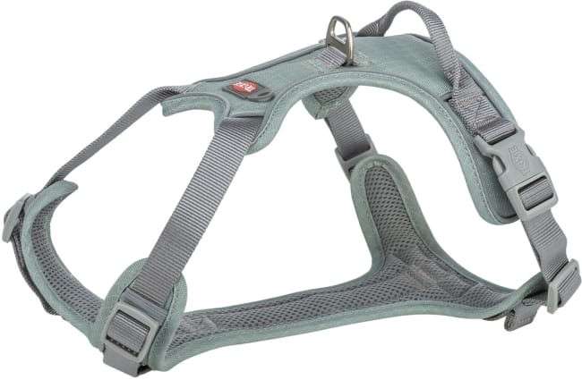 Hundesele Premium Active Sage