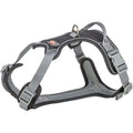 Hundesele Premium Active Sort