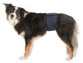 Magebelte hannhund M 45-55cm