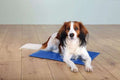 Trixie kjølematte XXL 110x70cm