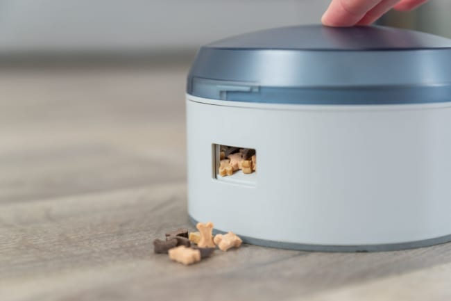 Hundeleke Dog Activity Buzzer Level 1