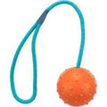 Hundeleke Ball i Snor 6 cm